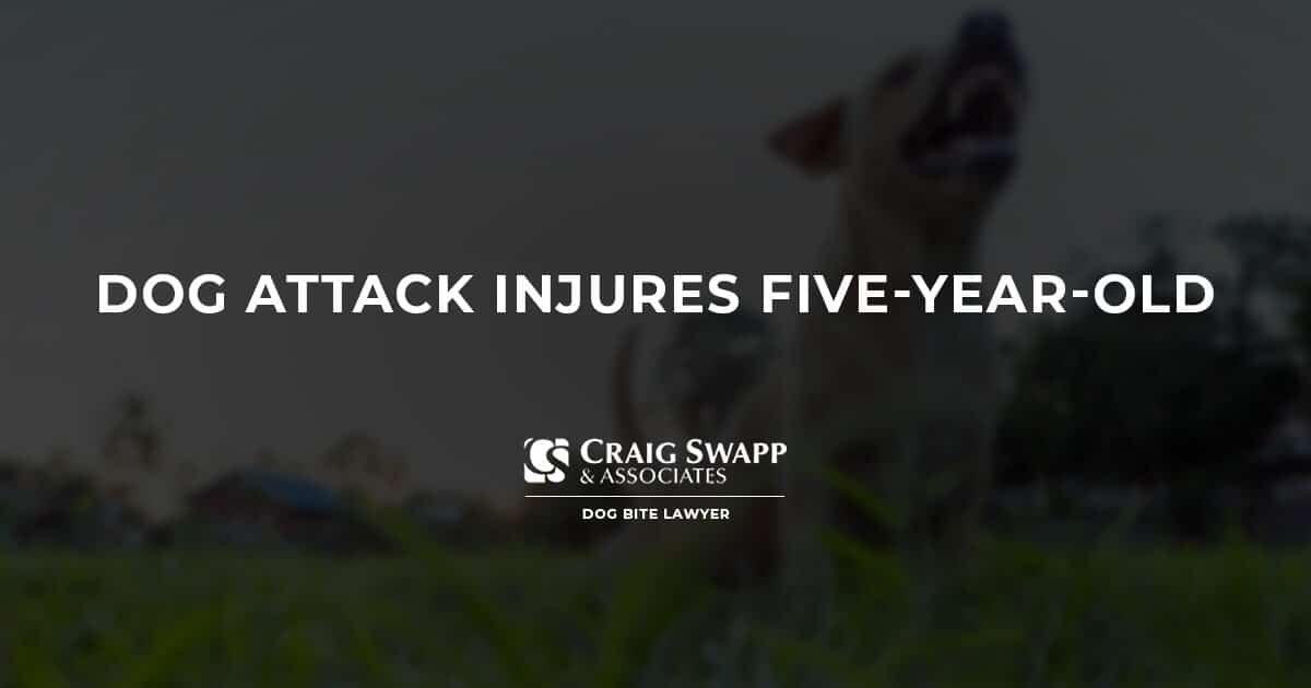 Dog Attack Injures Five-Year-Old